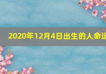 2020年12月4日出生的人命运