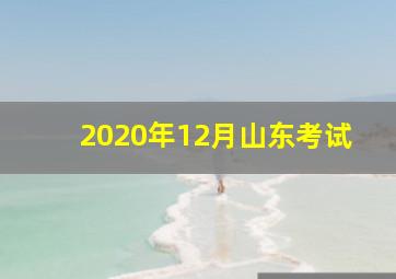 2020年12月山东考试