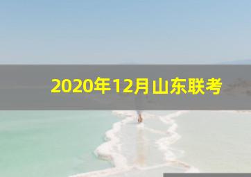 2020年12月山东联考