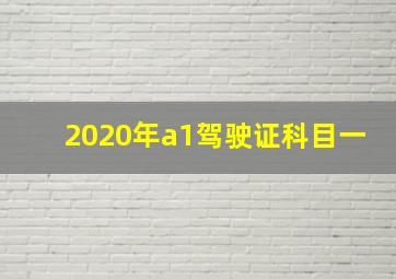 2020年a1驾驶证科目一