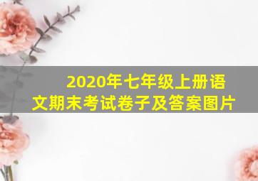 2020年七年级上册语文期末考试卷子及答案图片