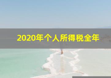 2020年个人所得税全年