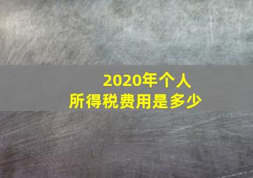 2020年个人所得税费用是多少