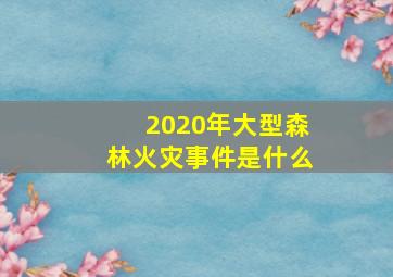 2020年大型森林火灾事件是什么