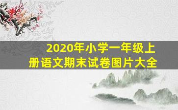 2020年小学一年级上册语文期末试卷图片大全