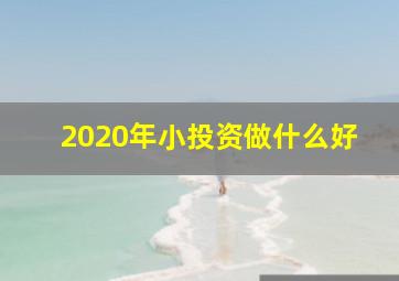 2020年小投资做什么好