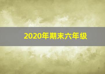 2020年期末六年级