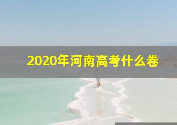 2020年河南高考什么卷