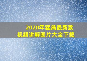 2020年猛禽最新款视频讲解图片大全下载