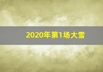 2020年第1场大雪