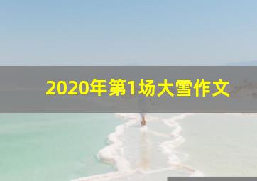 2020年第1场大雪作文