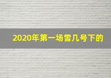 2020年第一场雪几号下的