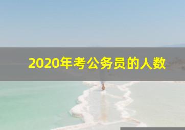 2020年考公务员的人数