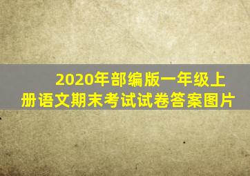 2020年部编版一年级上册语文期末考试试卷答案图片