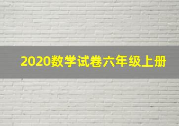 2020数学试卷六年级上册