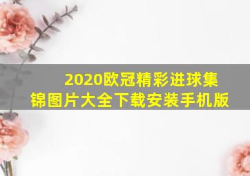 2020欧冠精彩进球集锦图片大全下载安装手机版