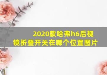 2020款哈弗h6后视镜折叠开关在哪个位置图片