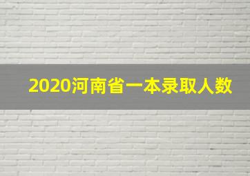 2020河南省一本录取人数