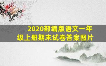 2020部编版语文一年级上册期末试卷答案图片