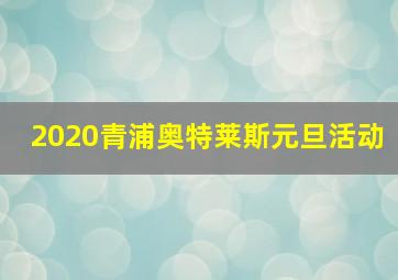 2020青浦奥特莱斯元旦活动