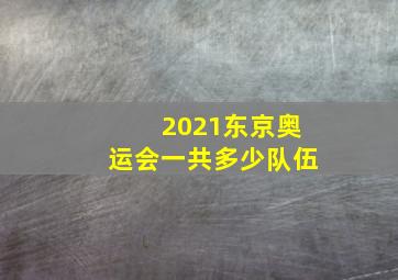 2021东京奥运会一共多少队伍