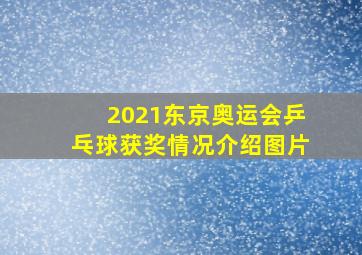 2021东京奥运会乒乓球获奖情况介绍图片