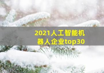 2021人工智能机器人企业top30