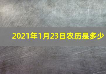 2021年1月23日农历是多少