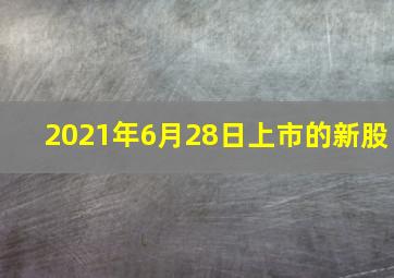 2021年6月28日上市的新股