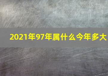 2021年97年属什么今年多大