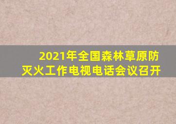 2021年全国森林草原防灭火工作电视电话会议召开