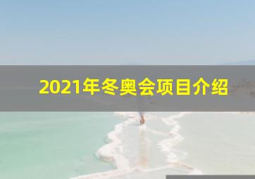 2021年冬奥会项目介绍