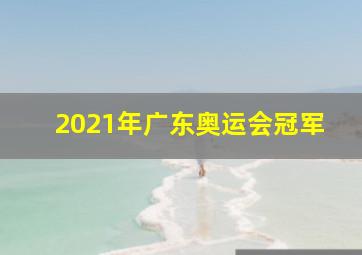 2021年广东奥运会冠军