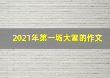 2021年第一场大雪的作文