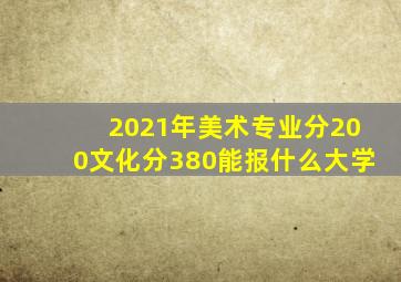 2021年美术专业分200文化分380能报什么大学