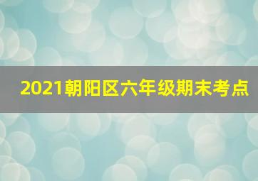 2021朝阳区六年级期末考点