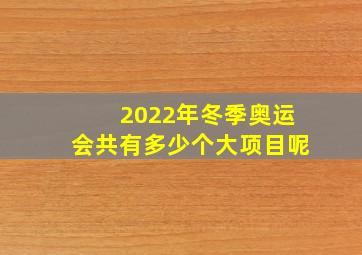 2022年冬季奥运会共有多少个大项目呢