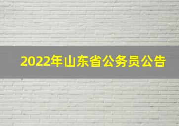 2022年山东省公务员公告