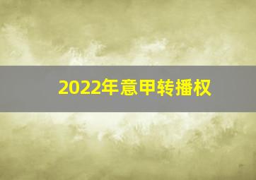 2022年意甲转播权