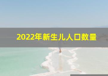 2022年新生儿人口数量