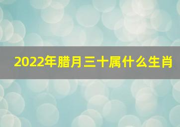 2022年腊月三十属什么生肖