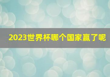 2023世界杯哪个国家赢了呢