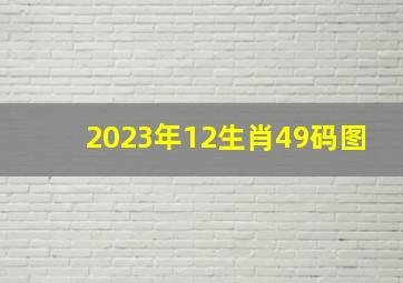 2023年12生肖49码图