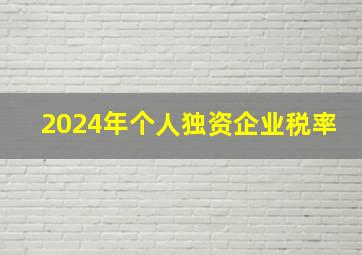 2024年个人独资企业税率