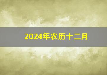 2024年农历十二月