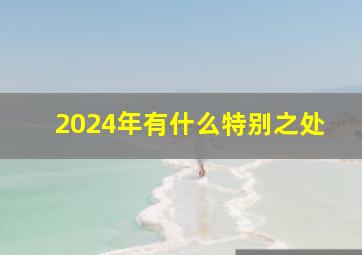 2024年有什么特别之处