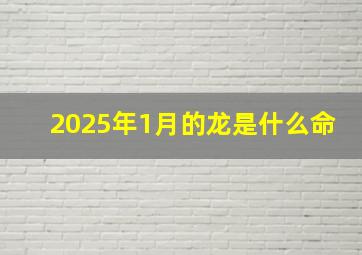 2025年1月的龙是什么命