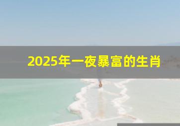 2025年一夜暴富的生肖