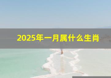 2025年一月属什么生肖