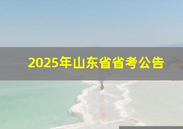 2025年山东省省考公告